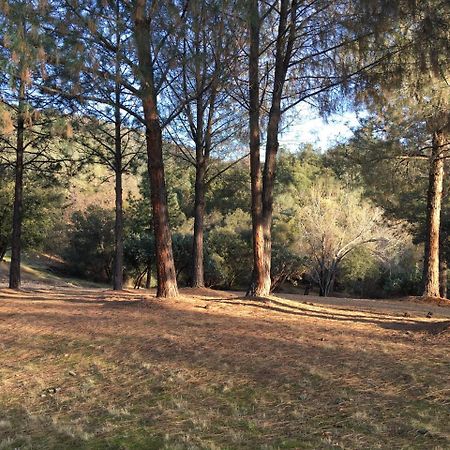 Ponderosa Basin Foxtail Farm Bed & Breakfast المظهر الخارجي الصورة