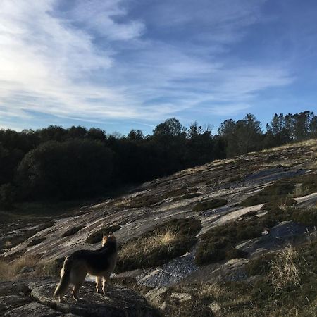 Ponderosa Basin Foxtail Farm Bed & Breakfast المظهر الخارجي الصورة