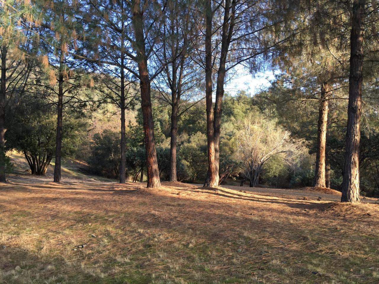 Ponderosa Basin Foxtail Farm Bed & Breakfast المظهر الخارجي الصورة